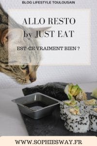 Allo Resto by Just Eat : est-ce vraiment bien ? 